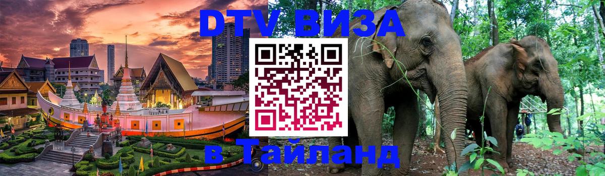 Оформление DTV визы под ключ: стоимость и тарифы, только загранпаспорт - 19.11.2025 
